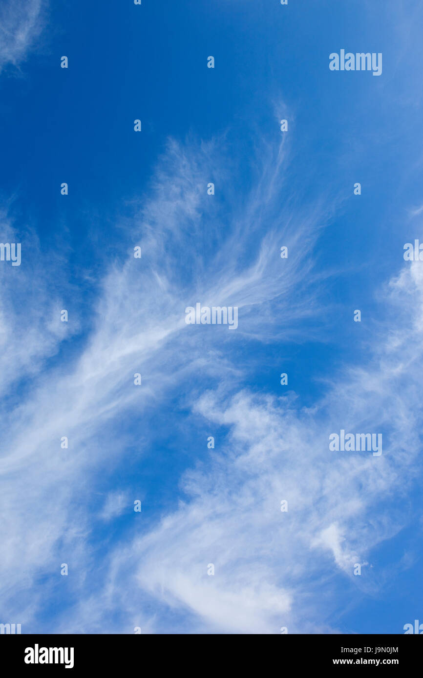 ein blauer Himmelshintergrund mit weißen wispy cloud Stockfoto