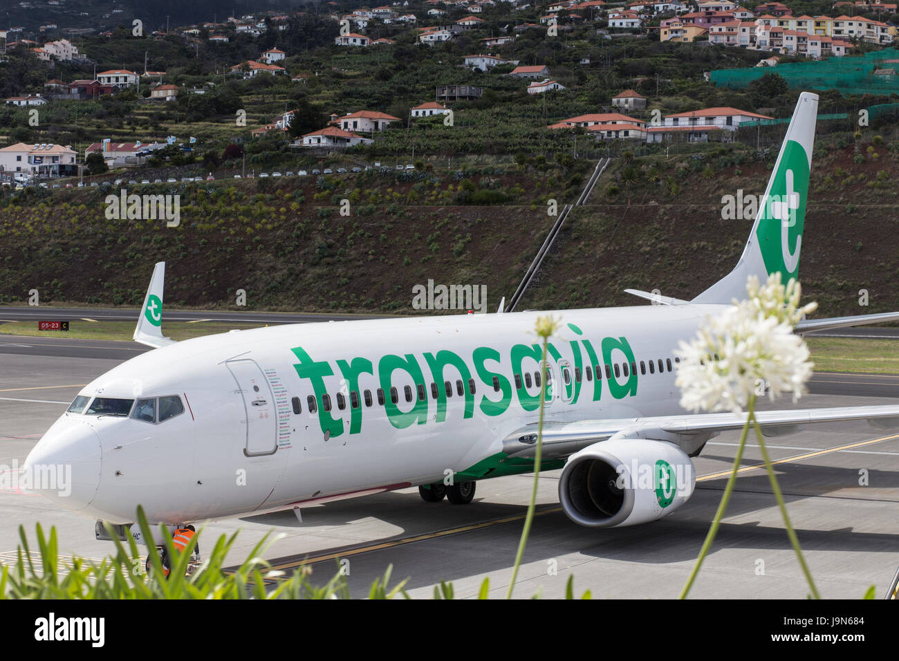 Transavia Boeing 737 - 8K 2 Steuer--auf dem Vorfeld des Flughafens von Madeira, in der Nähe von Fuchal, vor kurzem umbenannt Christiano Ronaldo International Airport Stockfoto