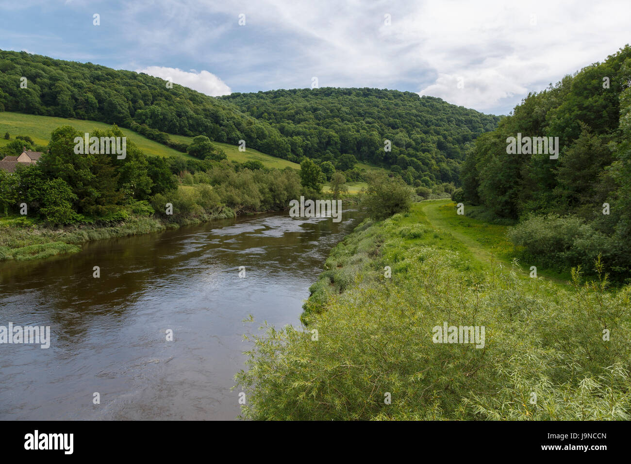 Fluss Wye am Brockweir, an der Grenze zu Wales und England. Das Wye Valley Walk ist auf dem Westufer des Flusses (rechts). Stockfoto