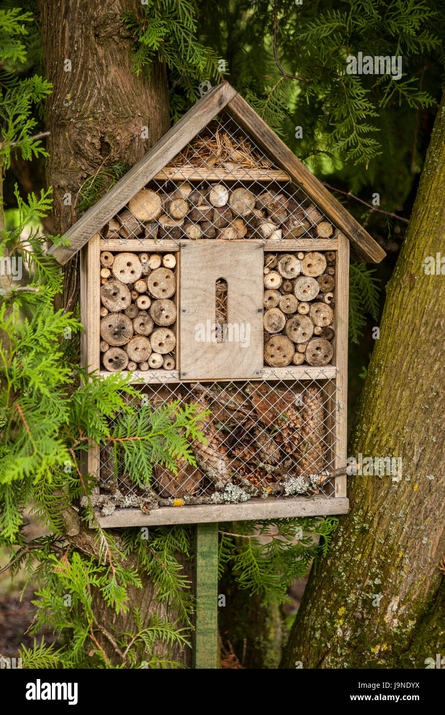 Insektenhaus im Sommergarten Stockfoto