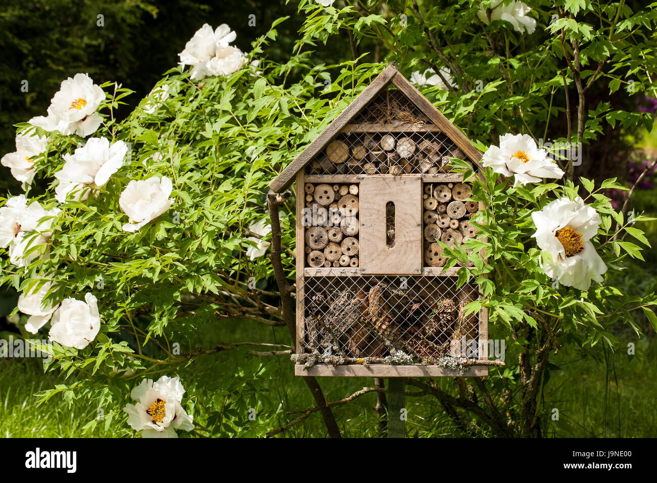 Insektenhaus im Sommergarten Stockfoto