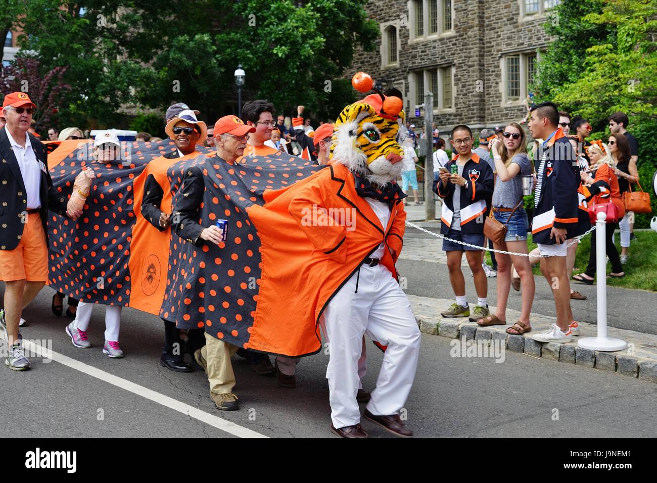 Hochschullehrer (Princeton University) in orange und schwarz März freudig in die P-Rade, der Schlussstein der New Jersey College jährliche Wiedervereinigungen gekleidet Stockfoto