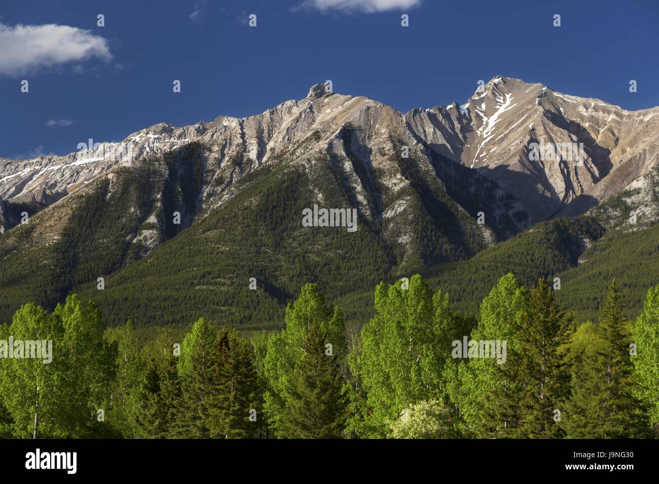 Canmore Alberta Foothills Skyline mit Rocky Mountain Peak und Green Forest Slope. Malerische Springtime Landscape Canadian Rockies, Banff National Park Stockfoto