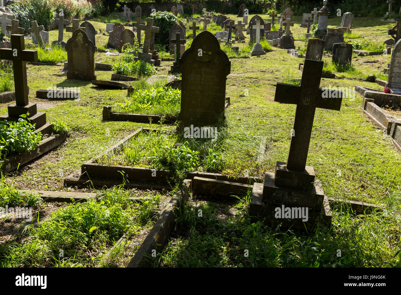 Stillgelegten Friedhof in Bier, Devon, Friedhof nicht mehr in Gebrauch. Stockfoto