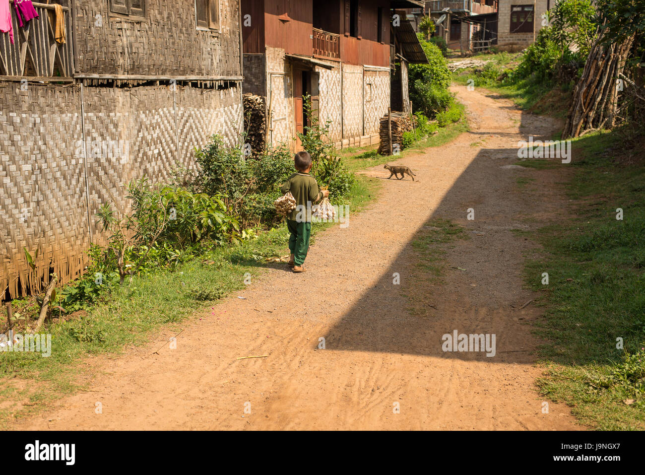 Ein Junge mit Trauben von Knoblauch in einem Dorf in der Nähe von Inle-See, Myanmar. Stockfoto