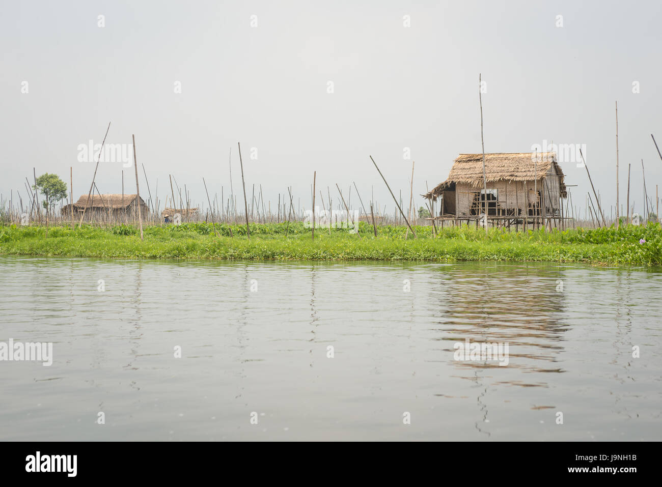 Häuser inmitten schwimmende Pflanzen in Inle-See, Myanmar. Stockfoto