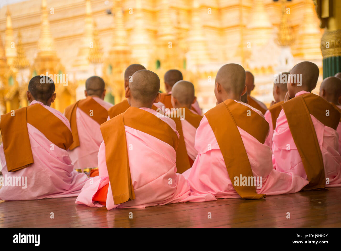 Weibliche Mönche singen/beten bei Sonnenuntergang. Shwedagon-Pagode, Yangon, Myanmar. Stockfoto