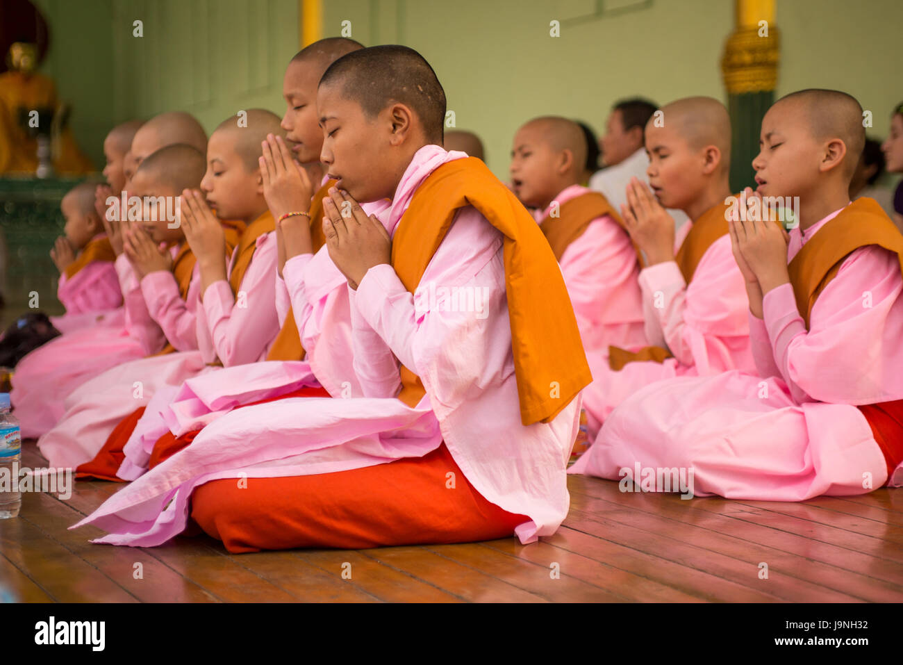 Weibliche Mönche singen/beten bei Sonnenuntergang. Shwedagon-Pagode, Yangon, Myanmar. Stockfoto