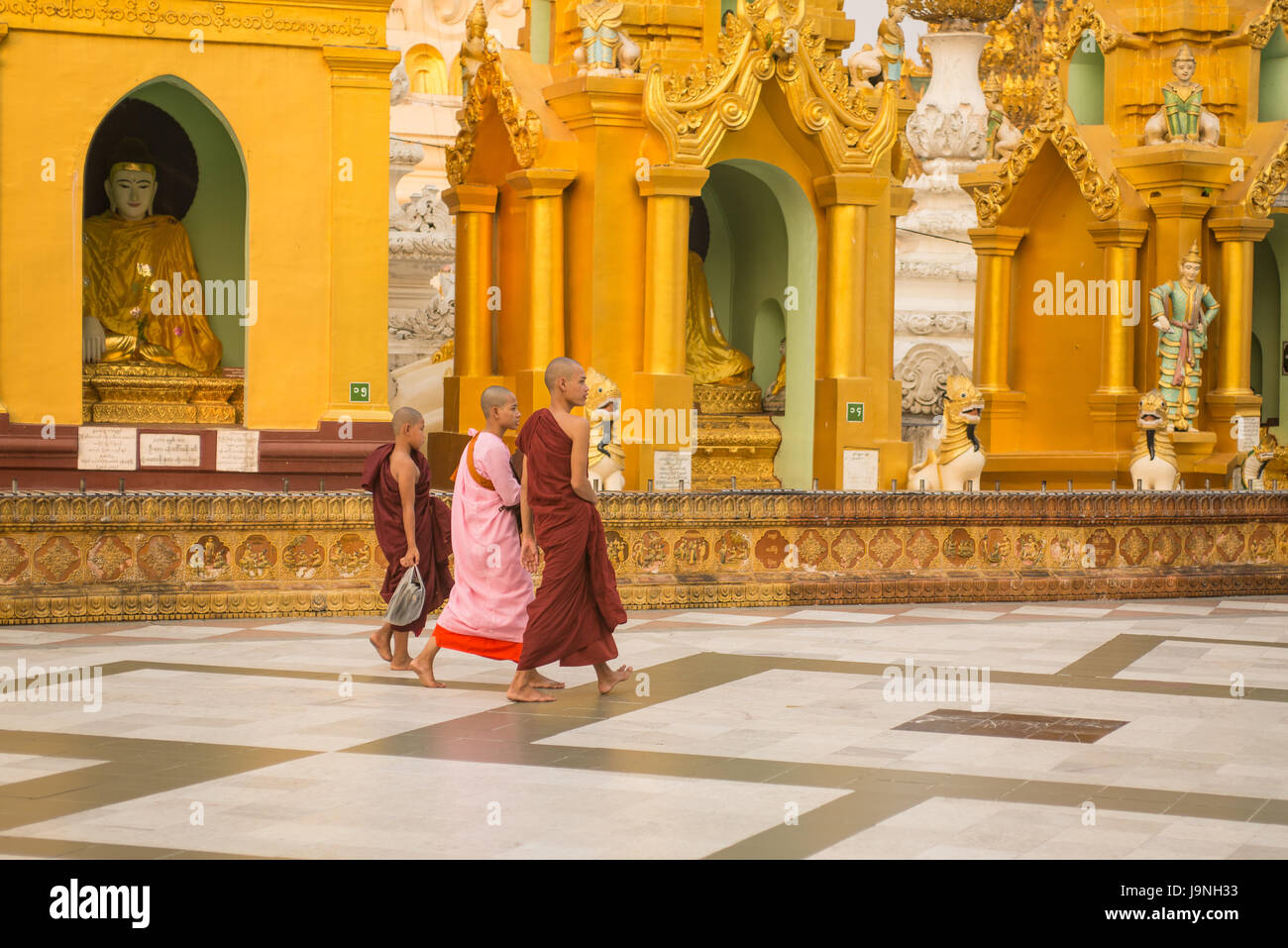 Drei junge Mönche zu Fuß. Shwedagon-Pagode, Yangon, Myanmar. Stockfoto