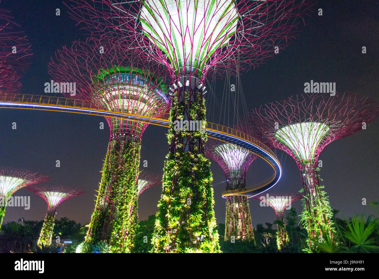 Singapurs Gardens by the Bay. Stockfoto