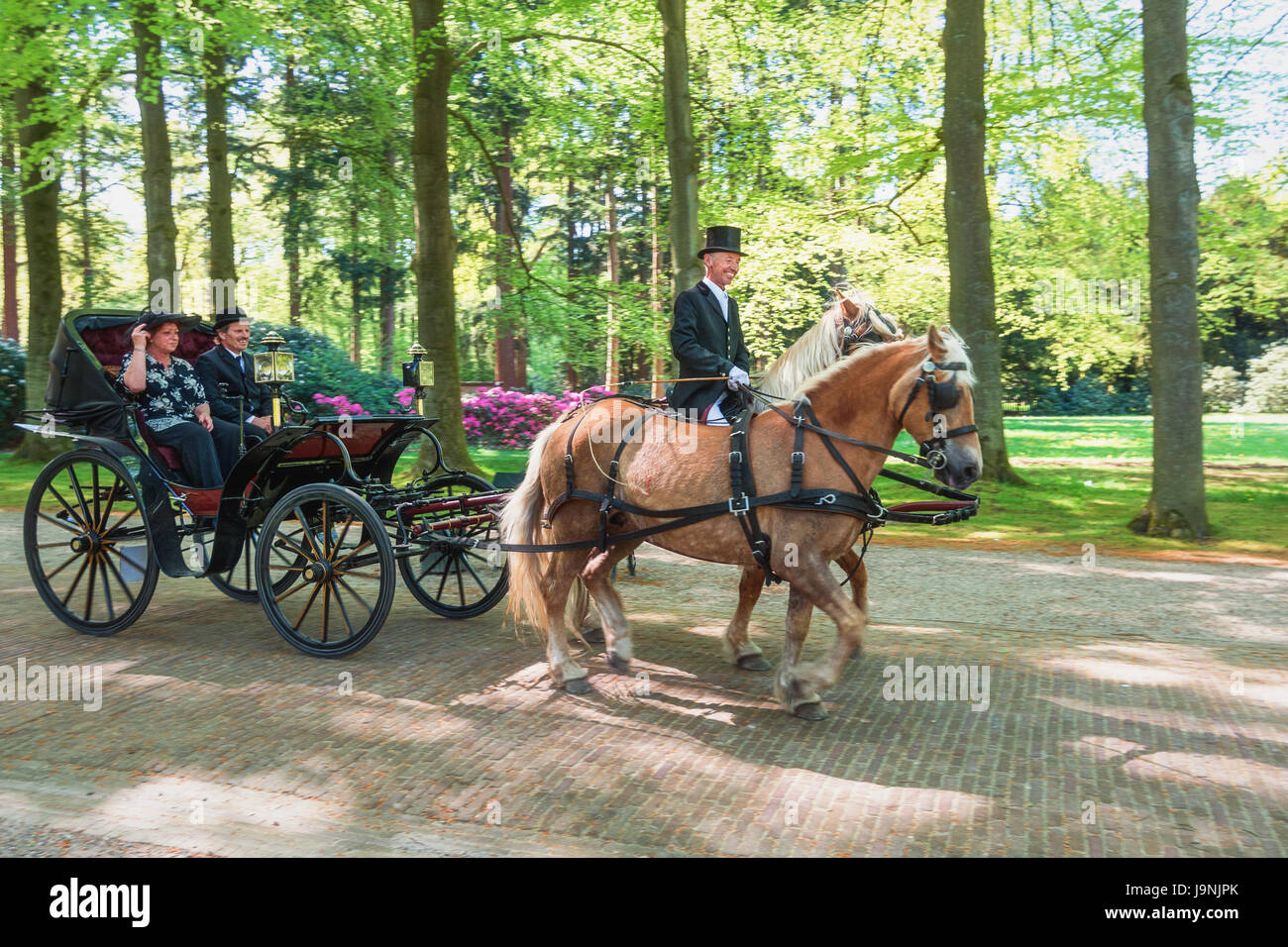 Apeldoorn, Niederlande, 8. Mai 2016: Prozession der Trainer auf die Spur, der Palast Het Loo in Apeldoorn Stockfoto