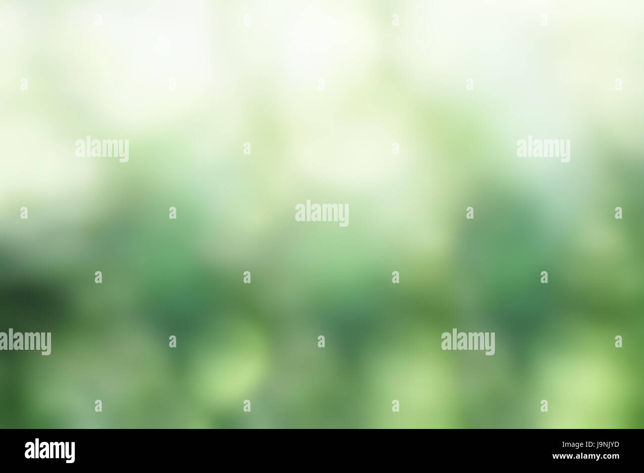 Zusammenfassung Hintergrund verschwommen grüne Bokeh Textur. Stockfoto