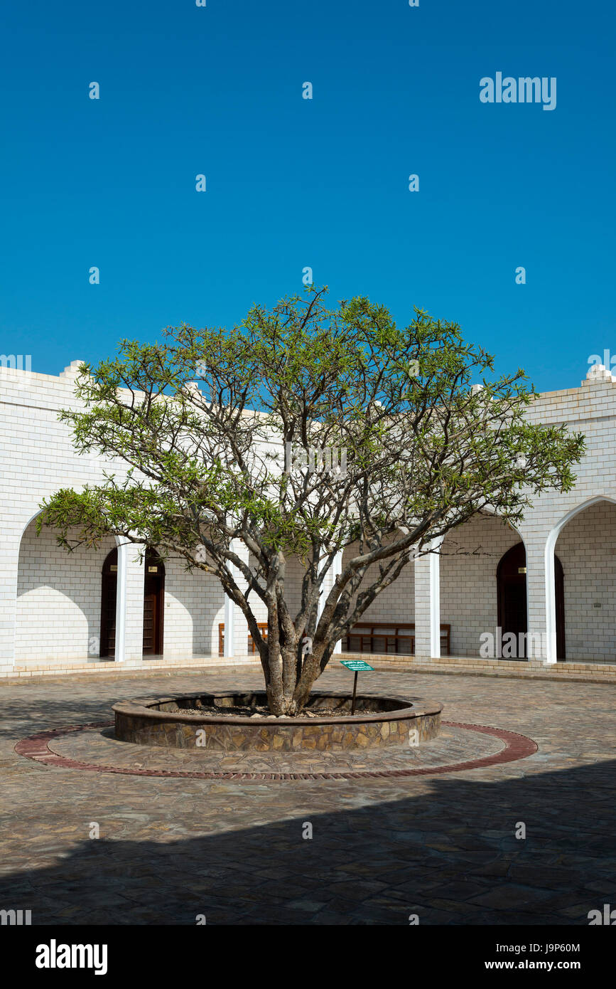 Das Museum des Weihrauch Land, Salalah, Dhofar Governorate, Oman Stockfoto