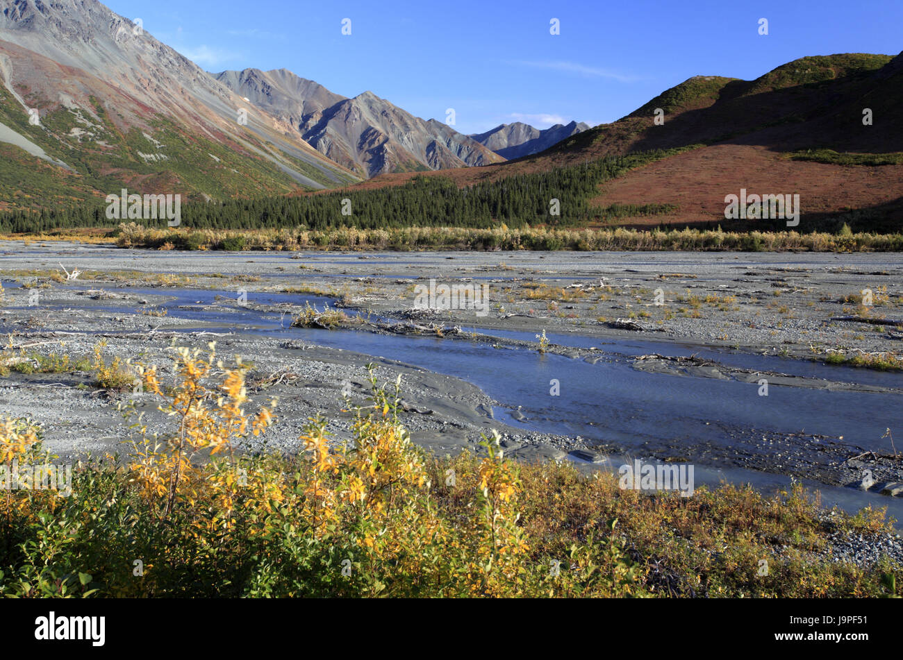 Nordamerika, USA, Alaska, Zentralalaska, George Parks Highway, Alaska, Rang, Stockfoto