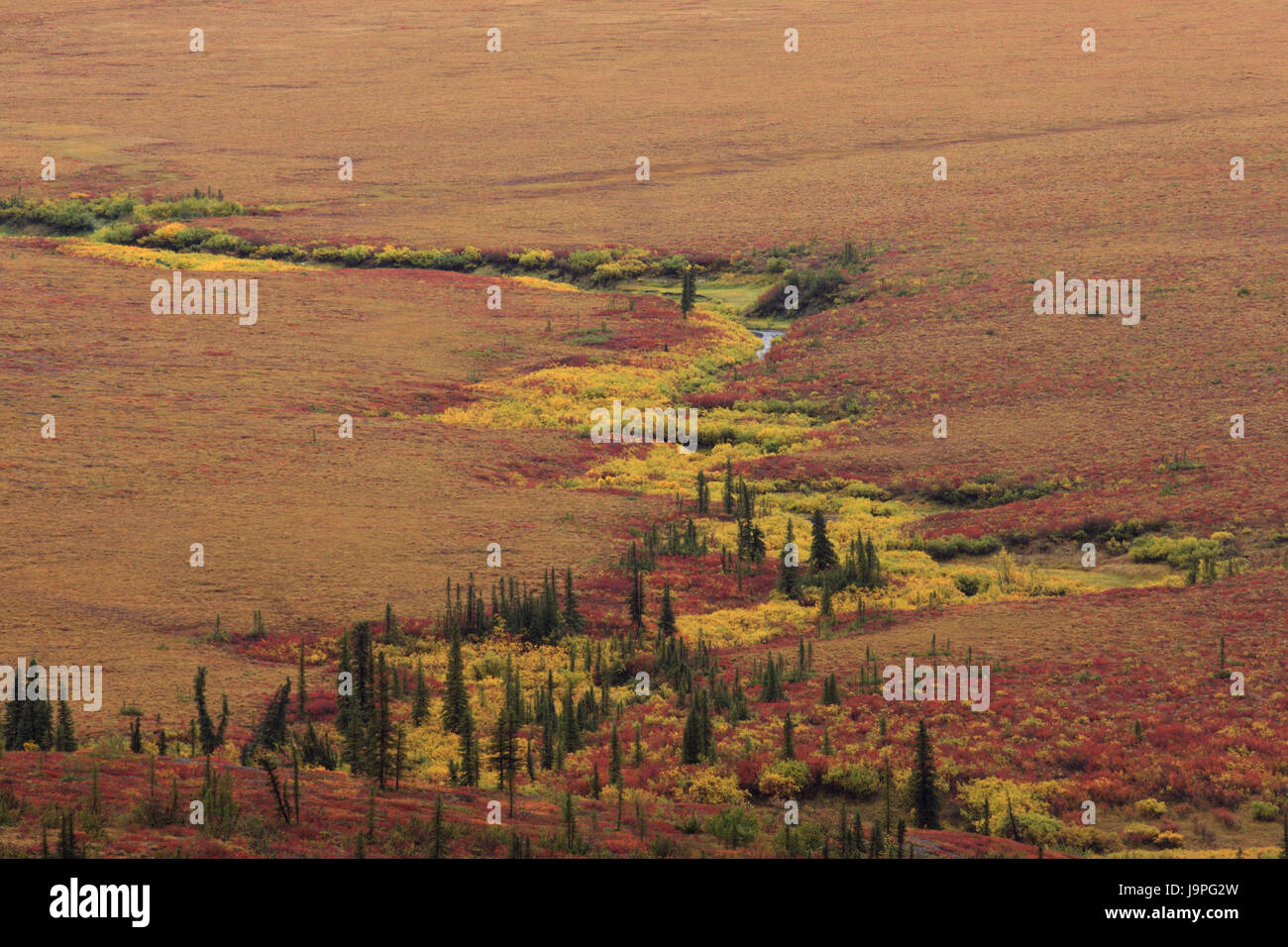 Nordamerika, Kanada, Nord-West-Gebiet, Tundra, Stockfoto