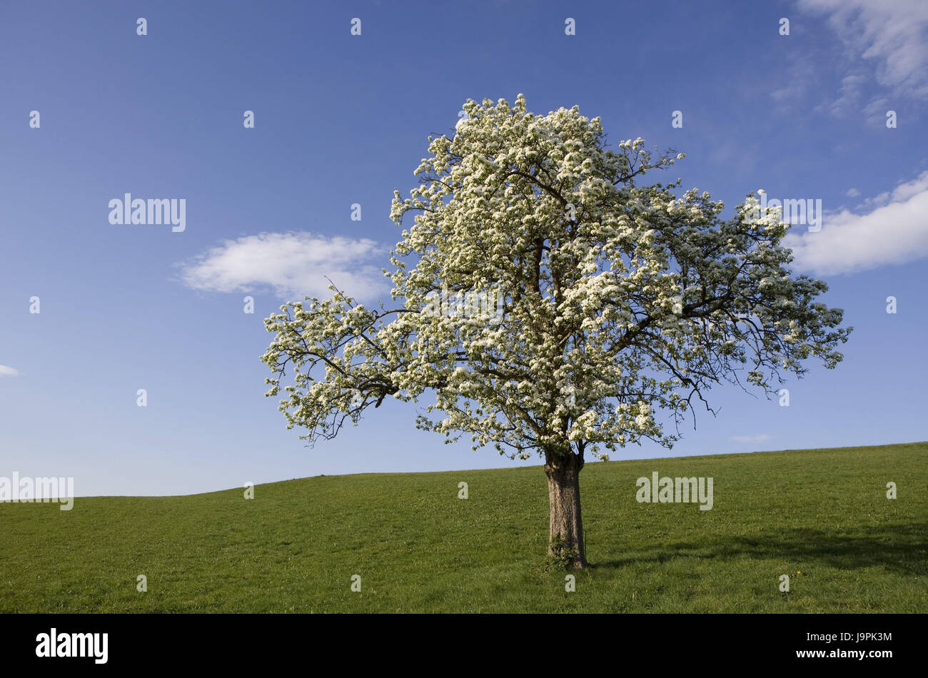 Bei einer neigung Fotos und Bildmaterial in hoher Auflösung Alamy