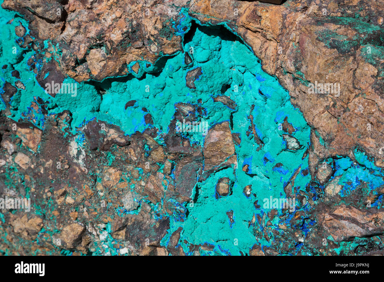 Oracle, Arizona - ein Stein Malachit (grün) und Mineralien Azurit (blau) auf dem Display außerhalb von Biosphäre 2 anzeigen. Beide sind Kupfer-Carbonat Mineralien. Stockfoto