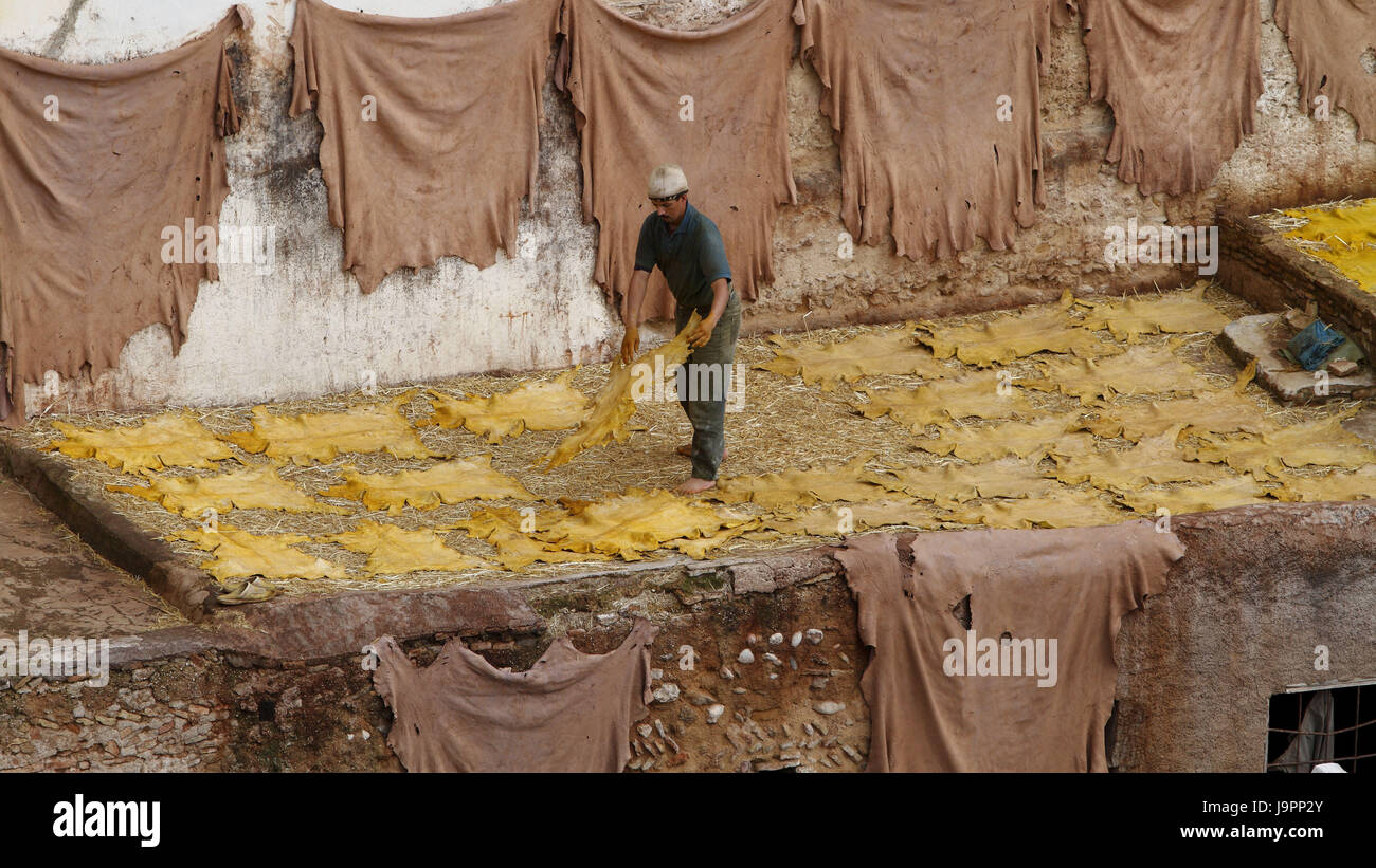 Mann bei der Arbeit in den Farbstoff Vierter in F flach, Marokko, Stockfoto