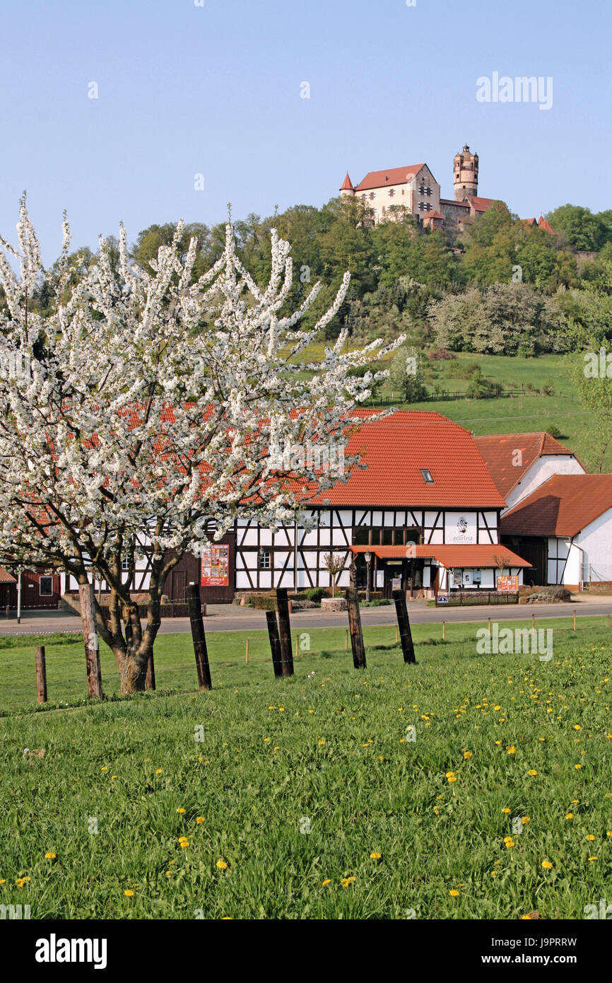 Deutschland, Hessen, Schloss Ronne, Bauernhof, Frühling, Landschaft, Bauernhof, Bauernhaus, Hälfte-Fachwerkhaus, Wiese, Apfelbaum, Zeit der Blüte, Berg, Burg, Ritterburg, Ziel, Ort von Interesse, ländlich, Idylle, Hälfte-Fachwerkhaus, Stockfoto