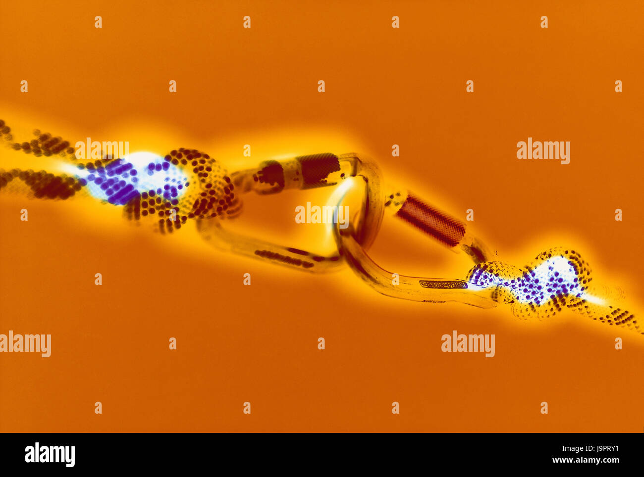 Karabiner Haken, Berg-Seile, macht nicht vertraut, Unschärfe, Bergsport, Klettern, Sport, Bergsteigen, Klettern, hängen Sie zusammen, Haken, sperren, Karabiner, Sicherheitstechnik, Kletterseile, HMS-Karabiner, Klettern Karabiner HMS, geschlossen, Seile, Auge, Symbol, Verbindung, backup, Sicherheit, Gemeinsamkeit, Zuverlässigkeit, Abhängigkeit, Zubehör, Zusammenhalt, Studio, negative Aufnahme, Gecrosst, Stockfoto