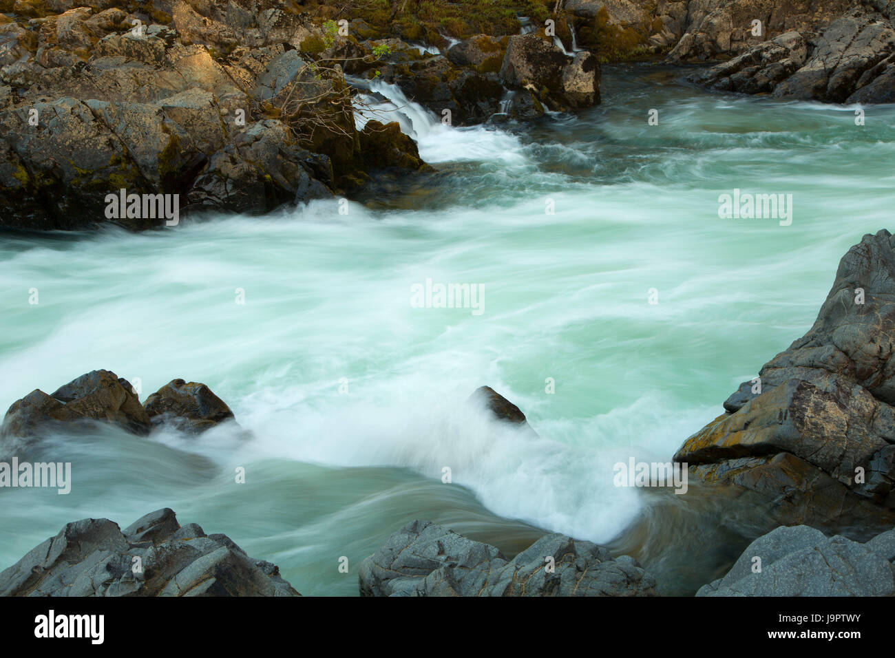 Little Falls entlang wenig Falls Trail, Illinois Wild and Scenic River, Siskiyou National Forest, Oregon Stockfoto