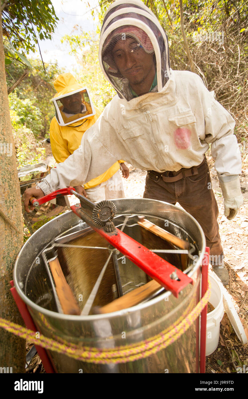 Eine manuelle Extraktor wird verwendet, um Honig aus Honig Frames extrahieren von Landwirten in Léon Abteilung, Nicaragua. Stockfoto