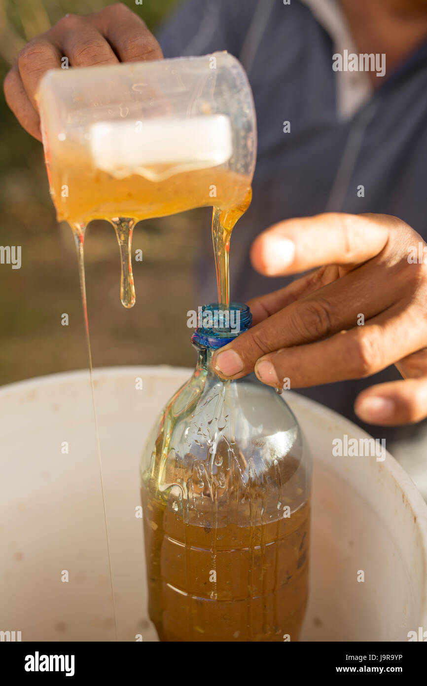 Eine Honigbiene Halter Flaschen frisch geerntete Honig bei Léon Abteilung, Nicaragua. Stockfoto