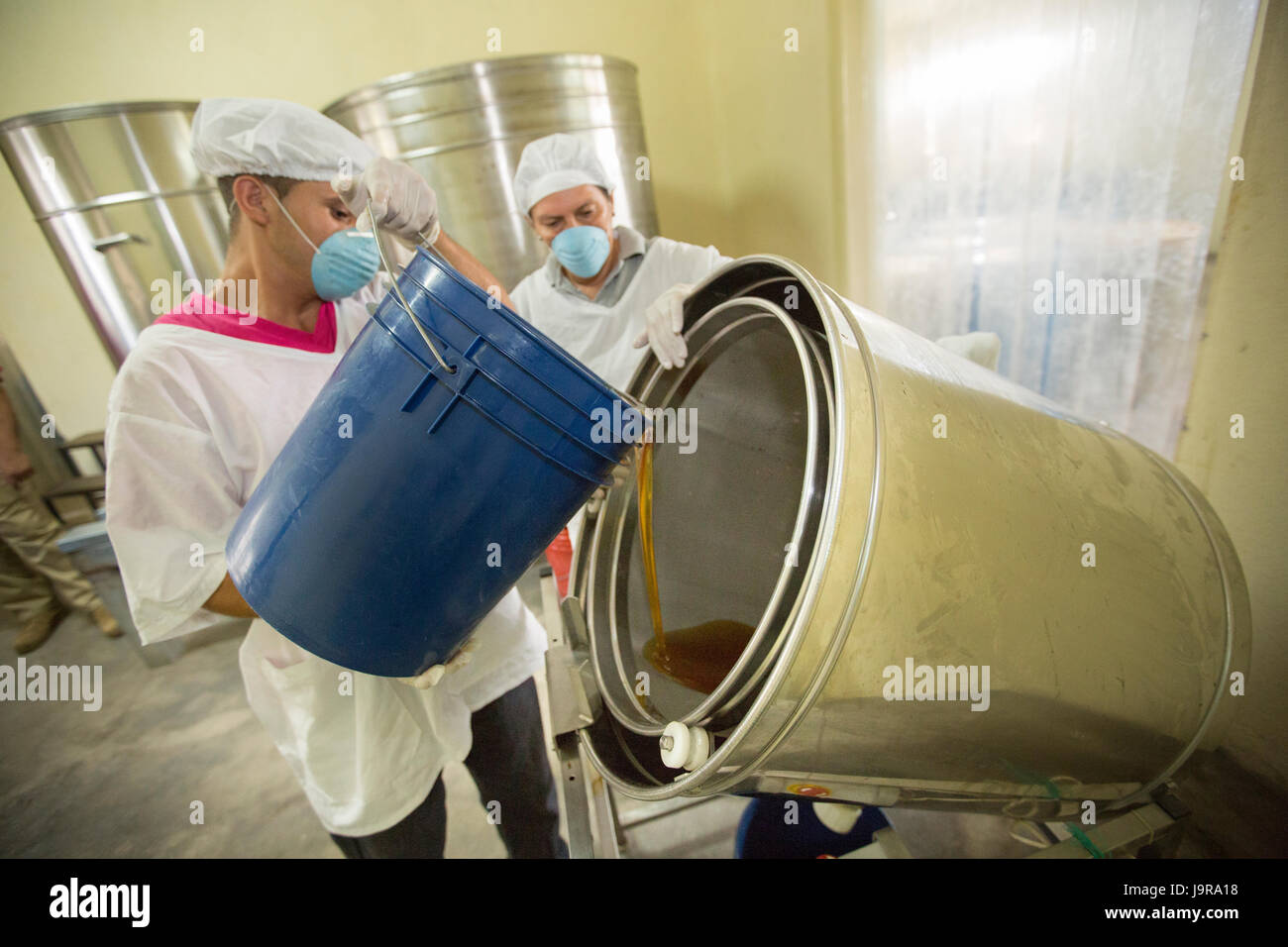 Arbeiter Filtern Honig in eine Genossenschaft Verpackungsanlage in der Stadt El Sauce, Nicaragua. Stockfoto