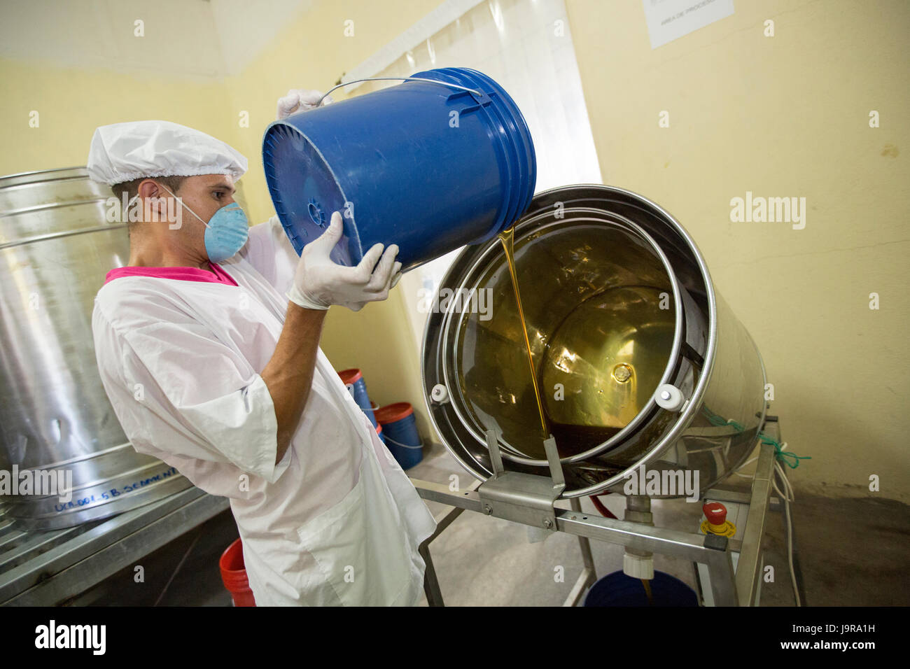 Ein Arbeiter filtert Honig in eine Genossenschaft Verpackungsanlage in der Stadt El Sauce, Nicaragua. Stockfoto