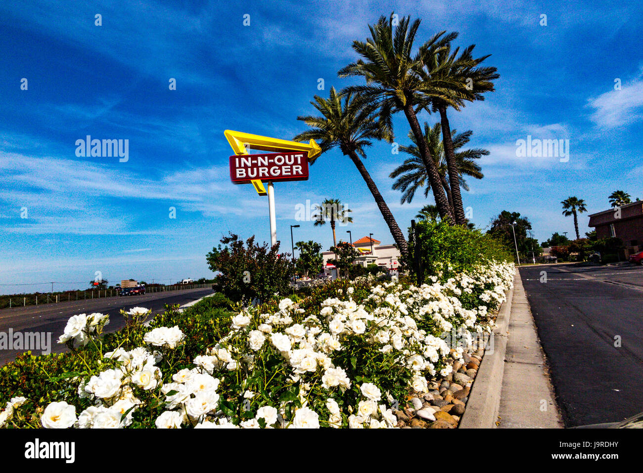Ein Hamburger In-N-Out in Modesto, Kalifornien Stockfoto