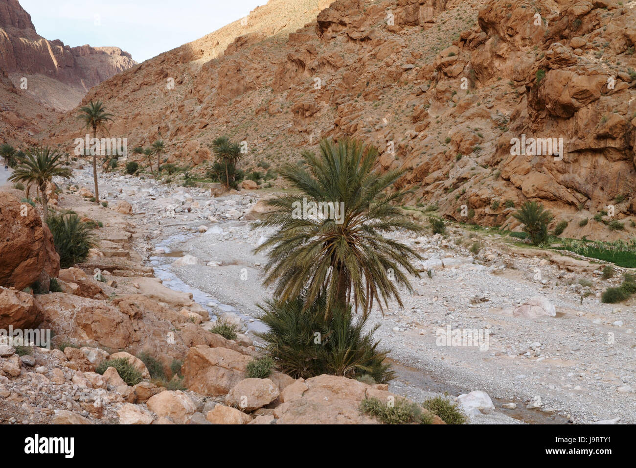 Todhra Gulch in Marokko, Stockfoto