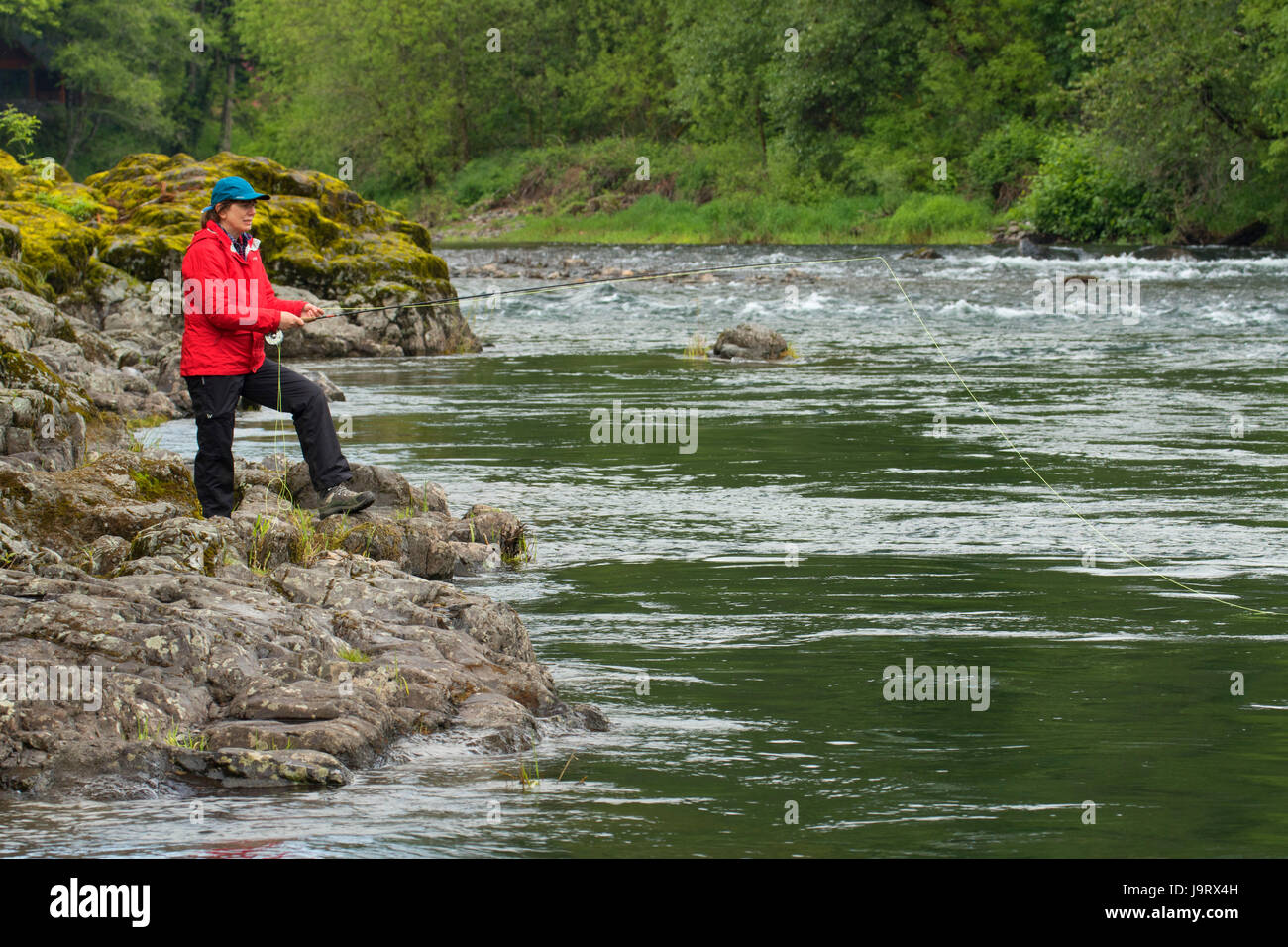 Fliegenfischen McKenzie River, Greenwood County Park Lane County, Oregon Stockfoto