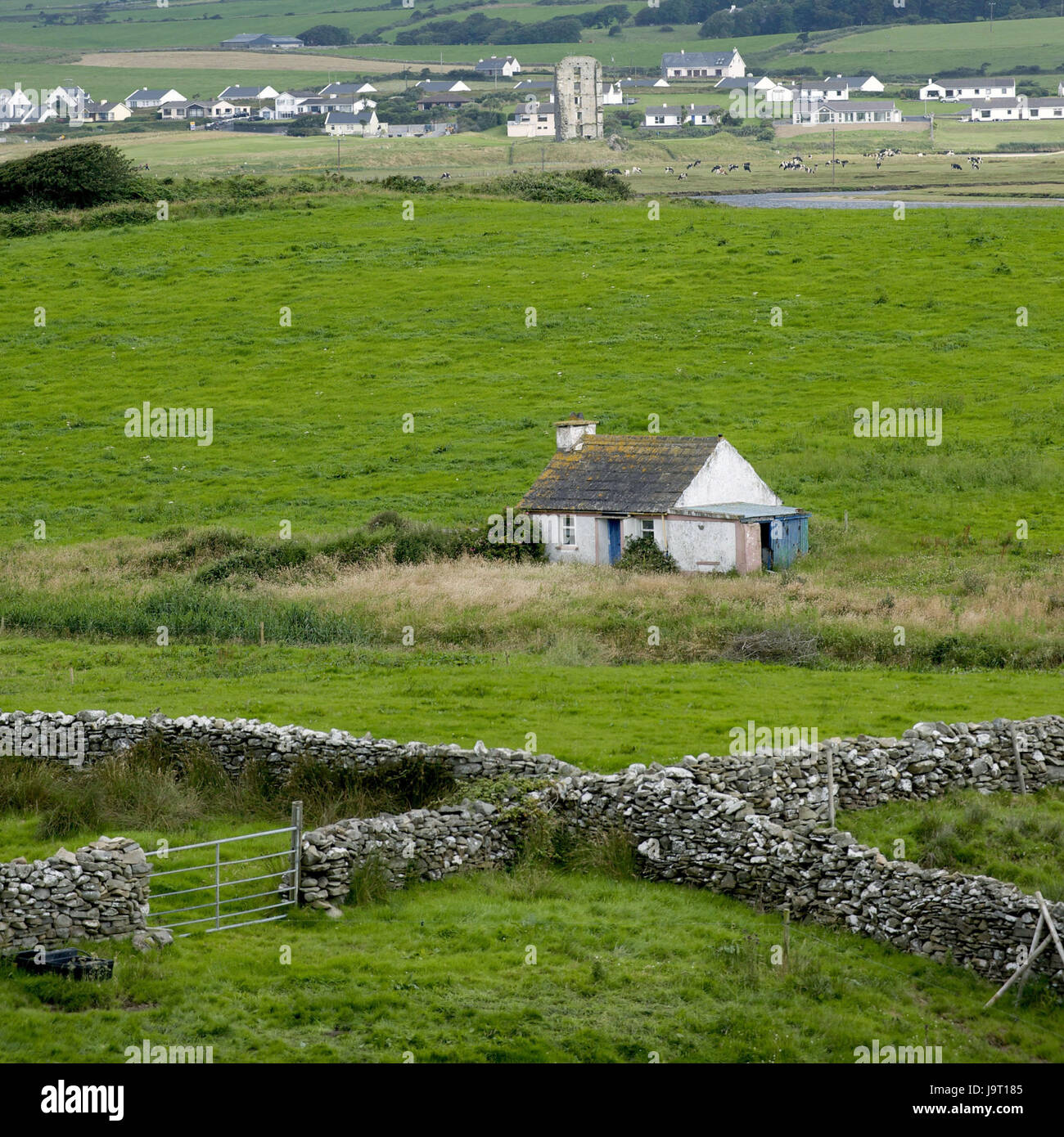 Irland, Munster, County Clare, Haus, Felder, Stockfoto