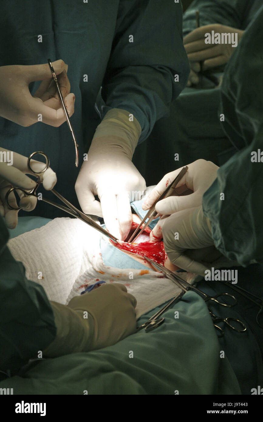 Halle Kreis, Operationsteam, Geburt, Kaiserschnitt Abschnitt, Stockfoto