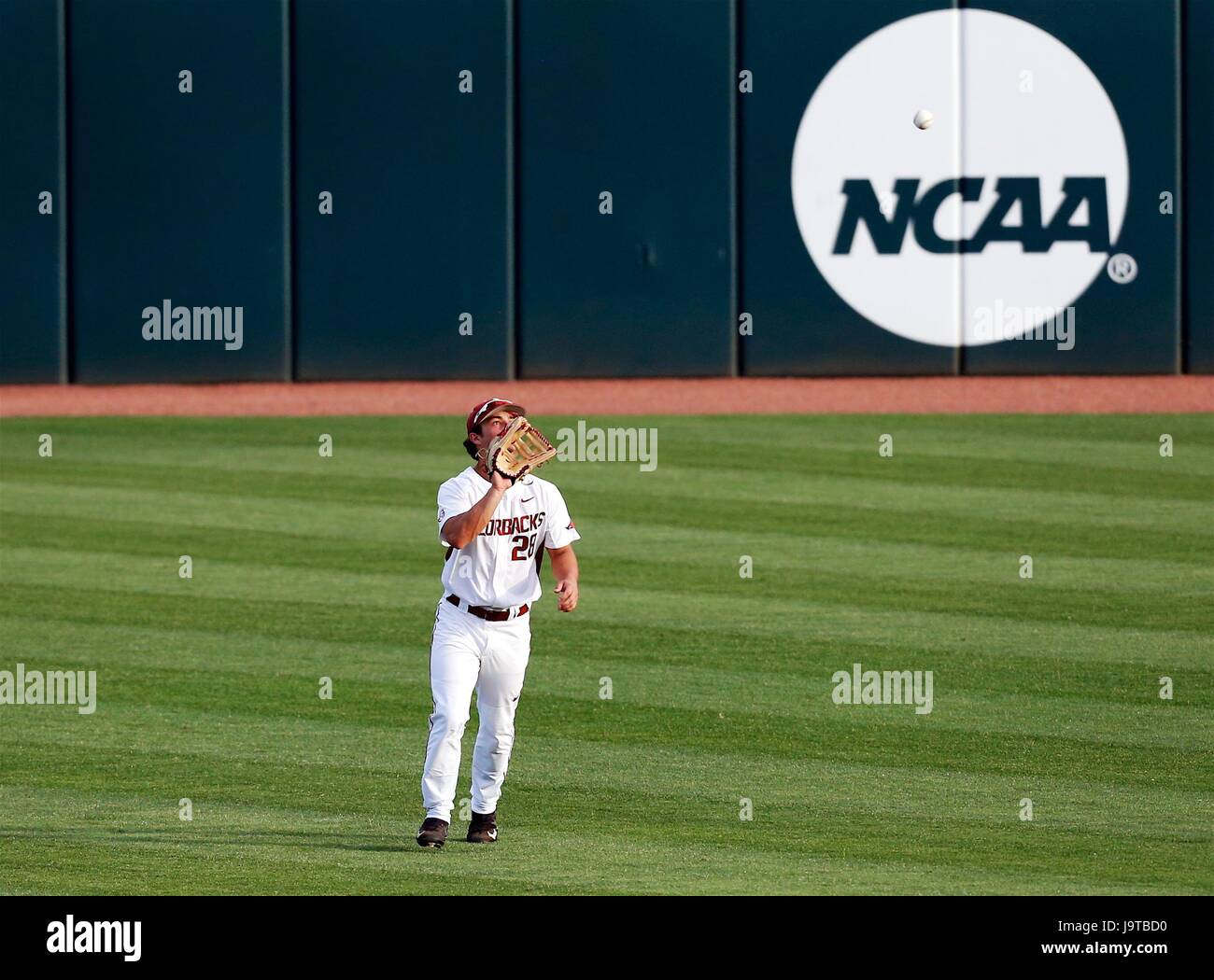 2. Juni 2017: Arkansas Center Fielder Dominic Fletcher #28 über sich unter ein Hit Ball seine Richtung bewegt. Die Arkansas Razorbacks besiegte die Oral Roberts Golden Eagles 3: 0 im Baum-Stadion in Fayetteville, AR, Richey Miller/CSM Stockfoto