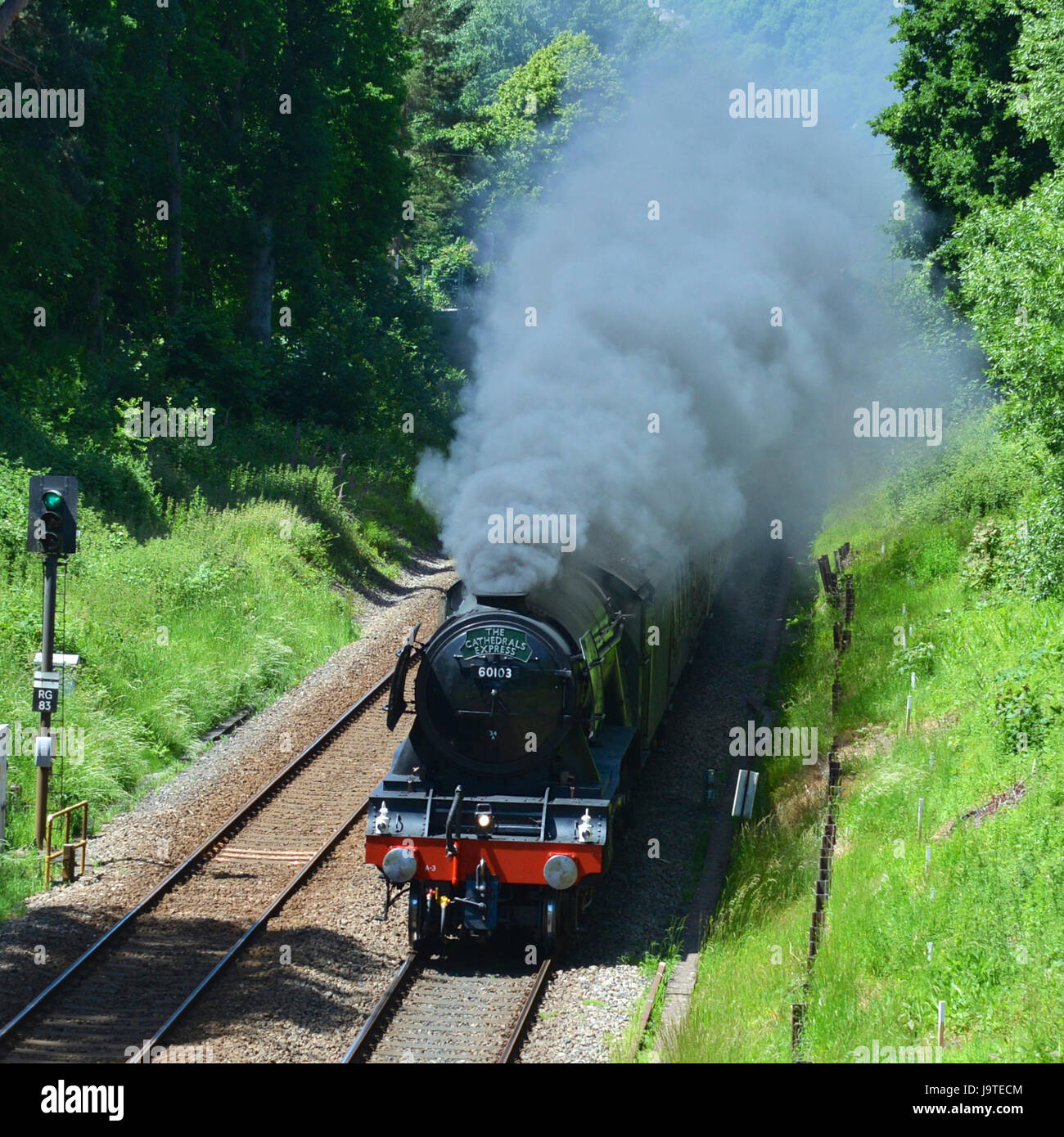 Reigate, Surrey, UK. 3. Juni 2017. Flying Scotsman 60103 Kathedralen Express Dampflokomotive schleppen Salonwagen Geschwindigkeiten durch Reigate, Surrey. 1304hrs Samstag, 3. Juni 2017. Foto © Lindsay Constable / Alamy Live News Stockfoto