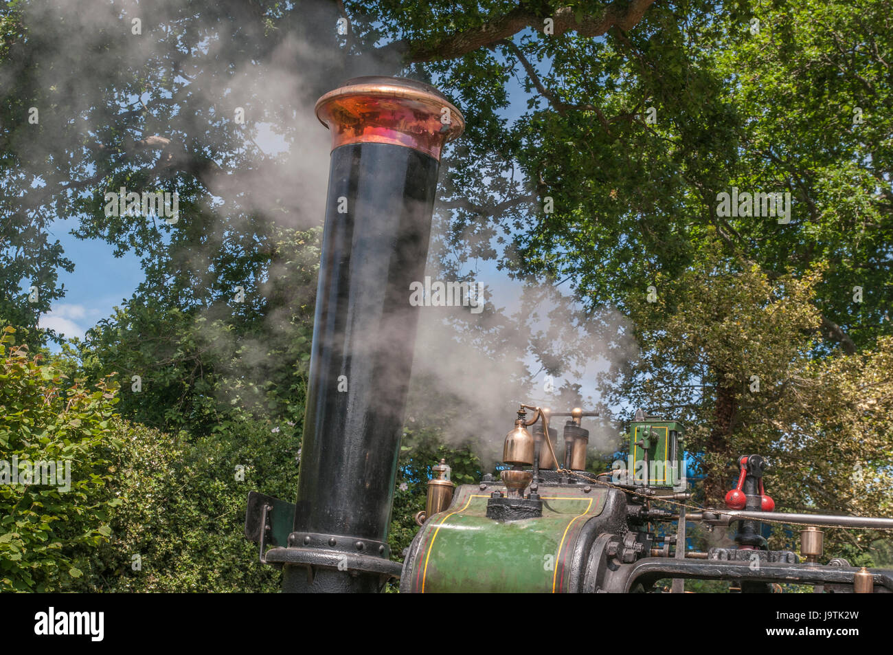 Hadlow Down, Uckfield, East Sussex, Großbritannien. Juni 2017. Ein glorreicher Familientag auf der 52. Jährlichen Veranstaltung im Tinkers Park eine der ältesten Veranstaltungen seines Typs im Süden Englands.Credit: Stockfoto