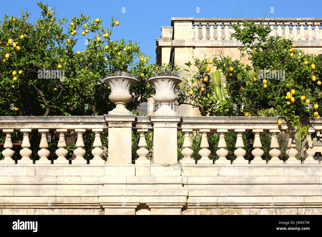 Garten, Barock, Vasen, Orangen, Gärten, Syrakus, Baum, Bäume, Stockfoto
