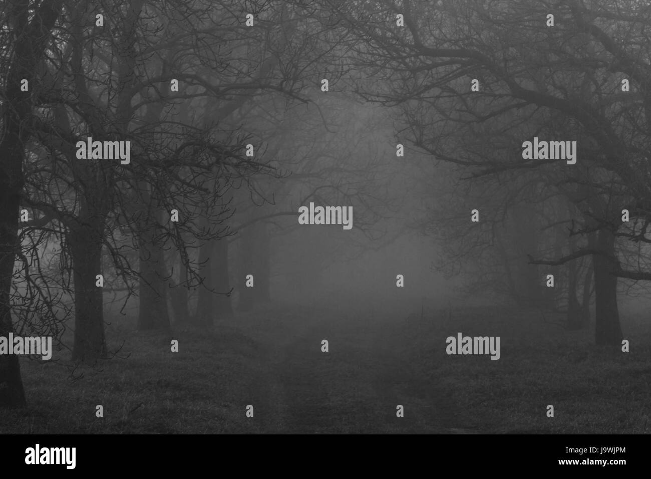 Landschaft Stockfoto