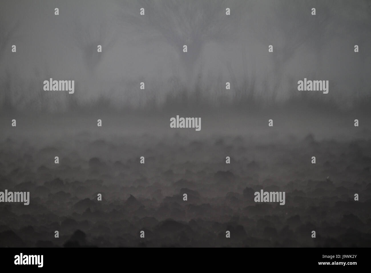 Landschaft Stockfoto