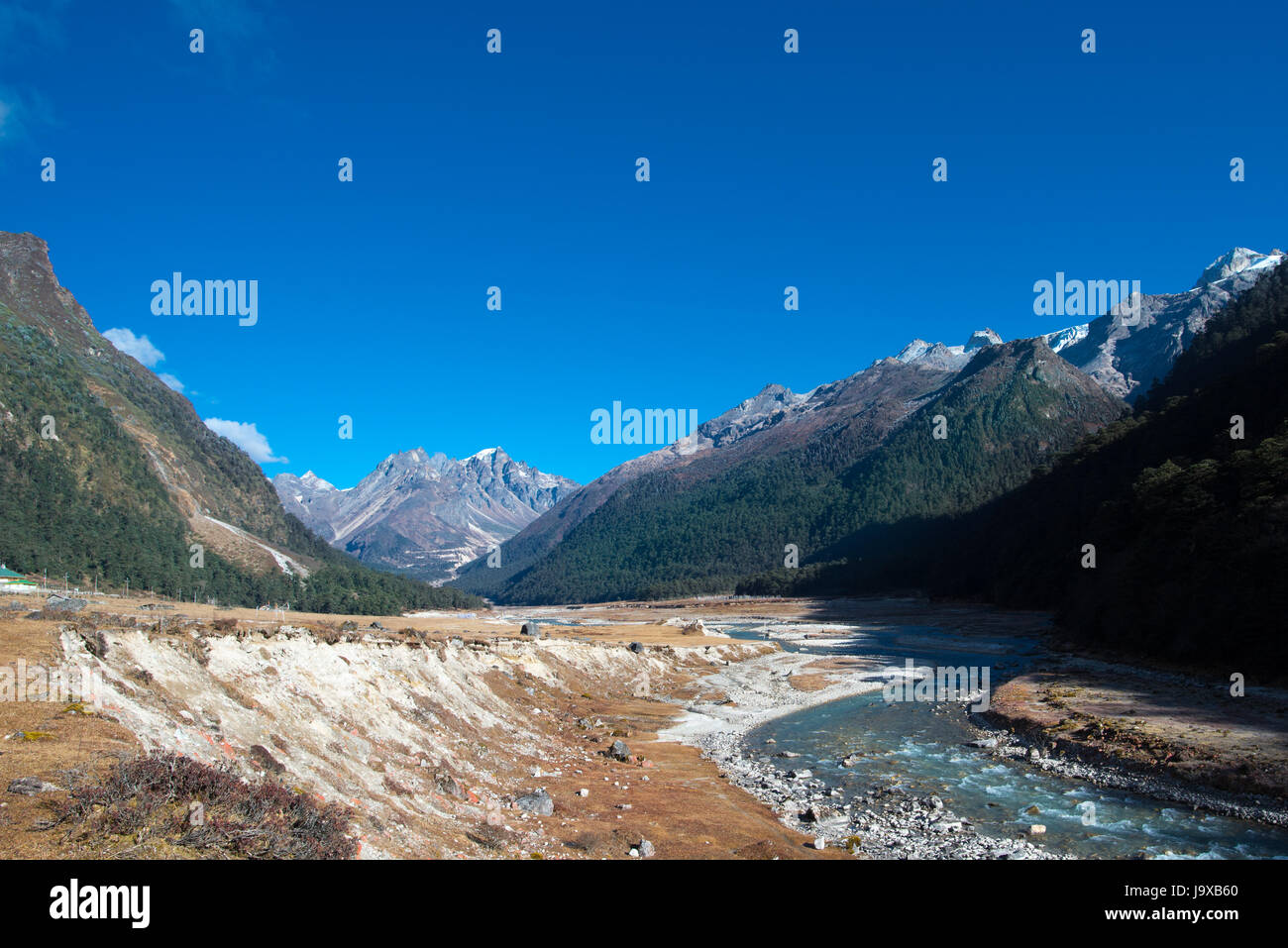 Yumthang-Tal, eine Weide, die umgeben von Bergen in Nord-Sikkim, Indien Stockfoto