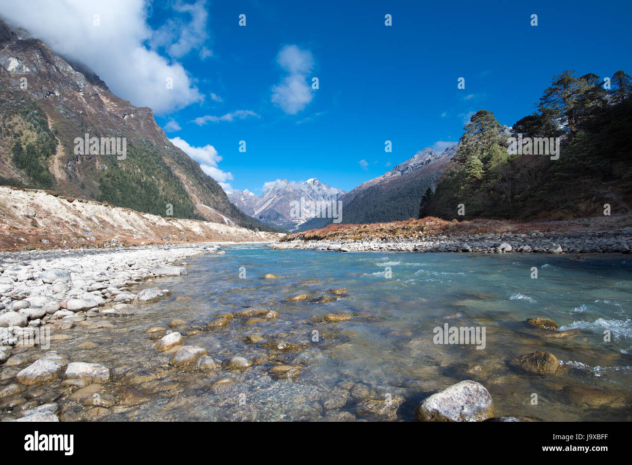 Yumthang-Tal, eine Weide, die umgeben von Bergen in Nord-Sikkim, Indien Stockfoto