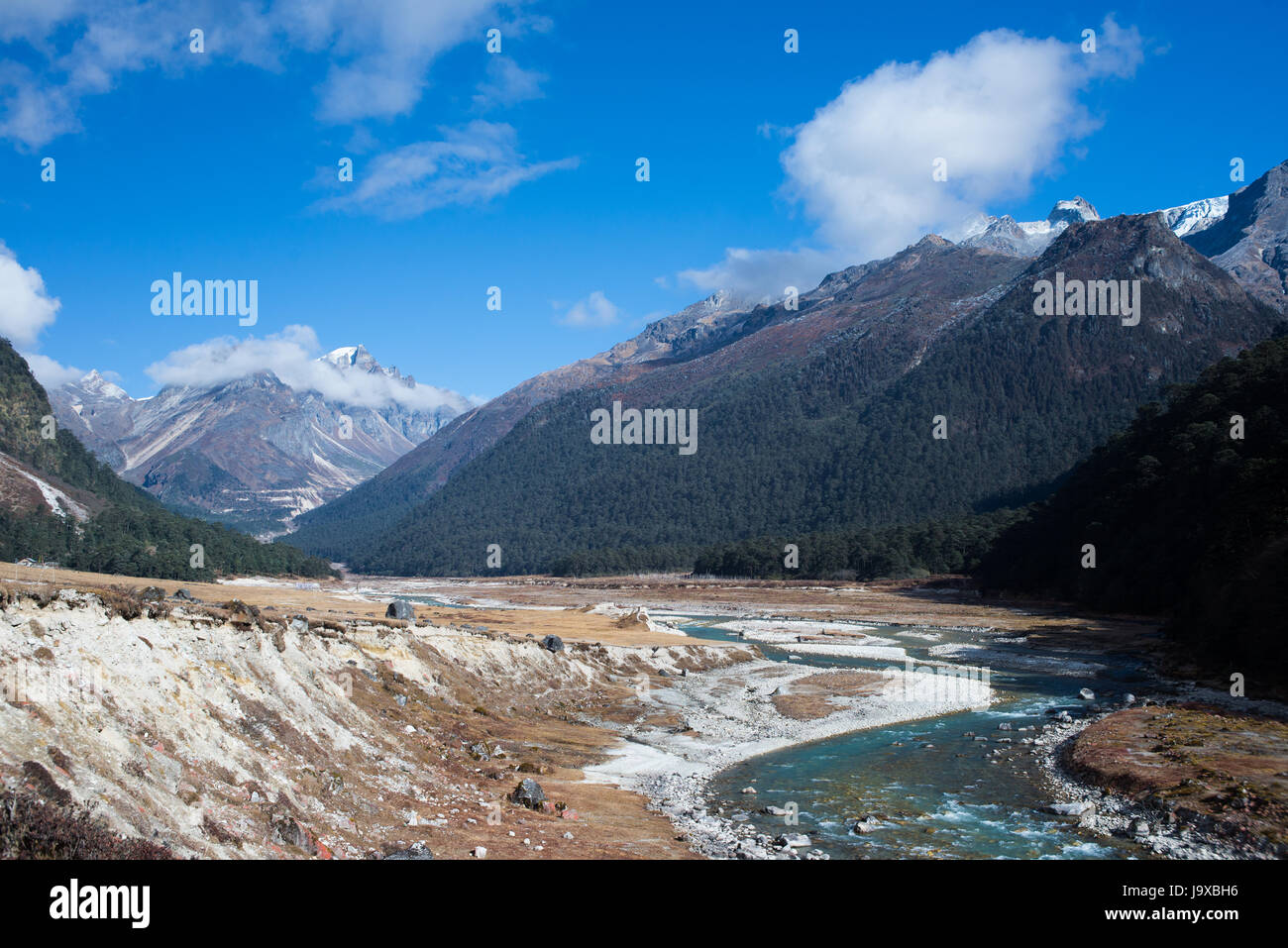 Yumthang-Tal, eine Weide, die umgeben von Bergen in Nord-Sikkim, Indien Stockfoto