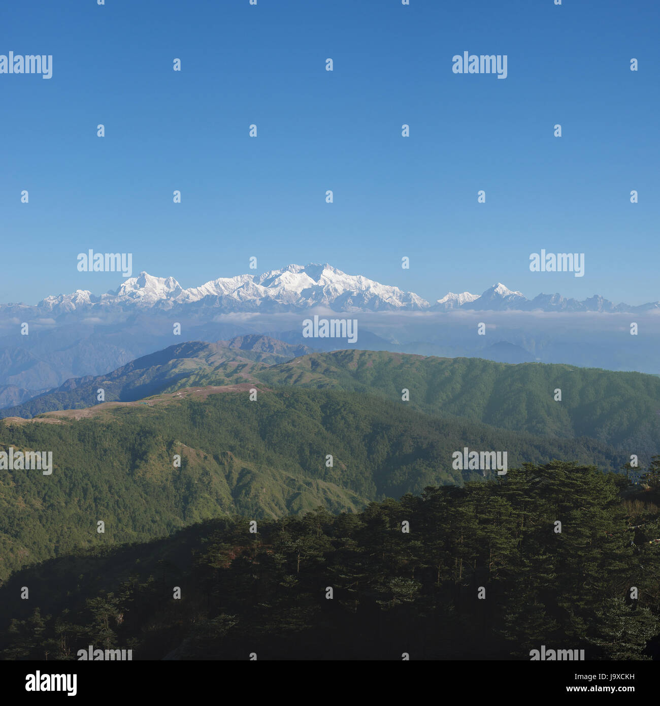 Mt. Kanchenjunga vom Sandakphu, Darjeeling, Indien Stockfoto