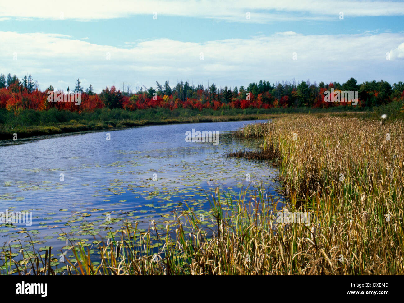 In der Nähe von blinden River, Ontario, Kanada 9-13 Stockfoto