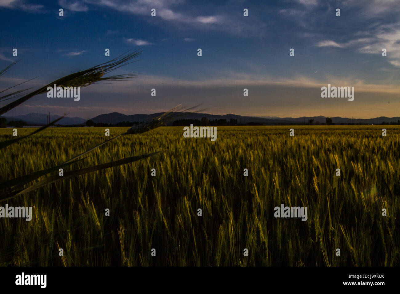 Landschaft Stockfoto