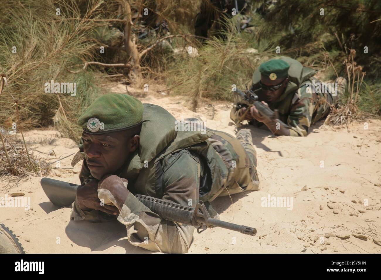 Senegalesische Compagnie Fusilier de Marin Commandos Low-Crawl gegenüber eine feindliche Position beim Training Übung 8. Juli 2015 in St. Louis, Senegal.    (Foto von Lucas Hopkins sich Marines über Planetpix) Stockfoto