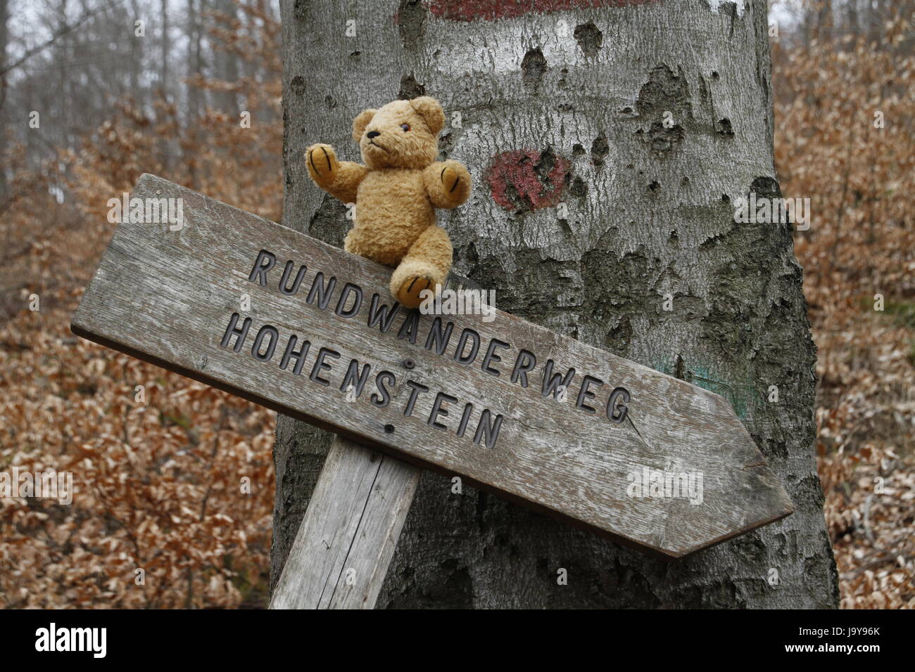 Wanderung, Wandern, Wanderung, Teddy, Schild, Weg, Wald, Wandern, Stein, Holz, Stockfoto