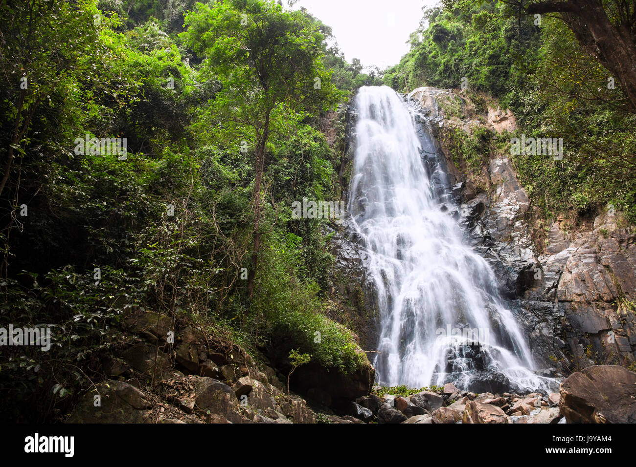 Natürlichen Hintergrund Wasserfall bunte Blätter Wasserfall Thailand tropisch, Nationalpark Khao Nan Sunanta Wasserfall Nakhon Si Thammarat Thailand. Stockfoto