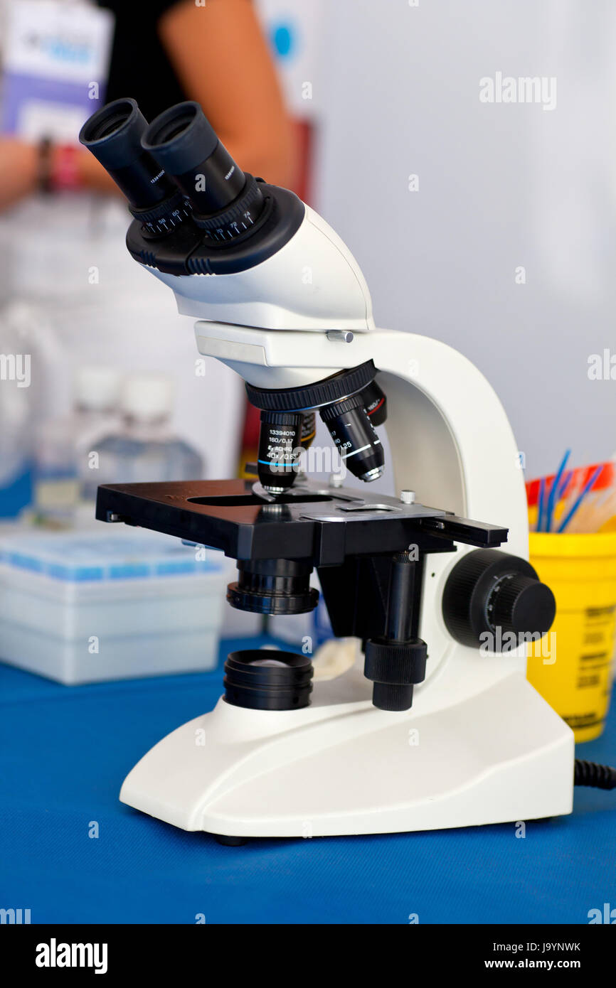 Wissenschaft, Labor, Biologie, Reagenzgläser, wissenschaftliche, Papier, wissenschaftliche Arbeit, Stockfoto